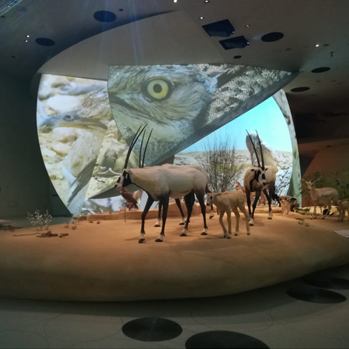 el-nuevo-museo-nacional-de-qatar-la-rosa-de-nouvel-con-alma-espanola